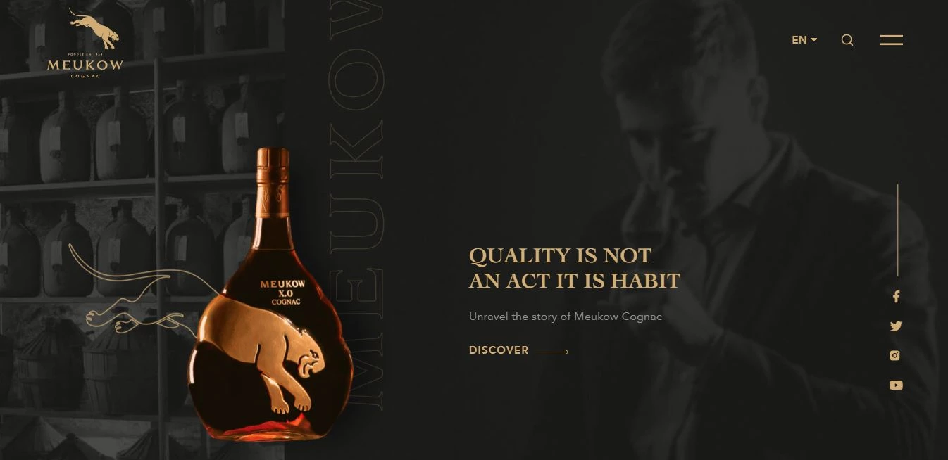 luxury website design