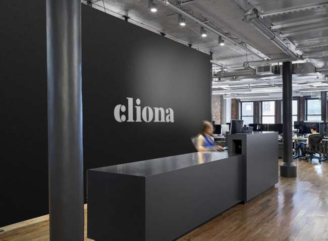 Cliona Best Corporate Branding Examples