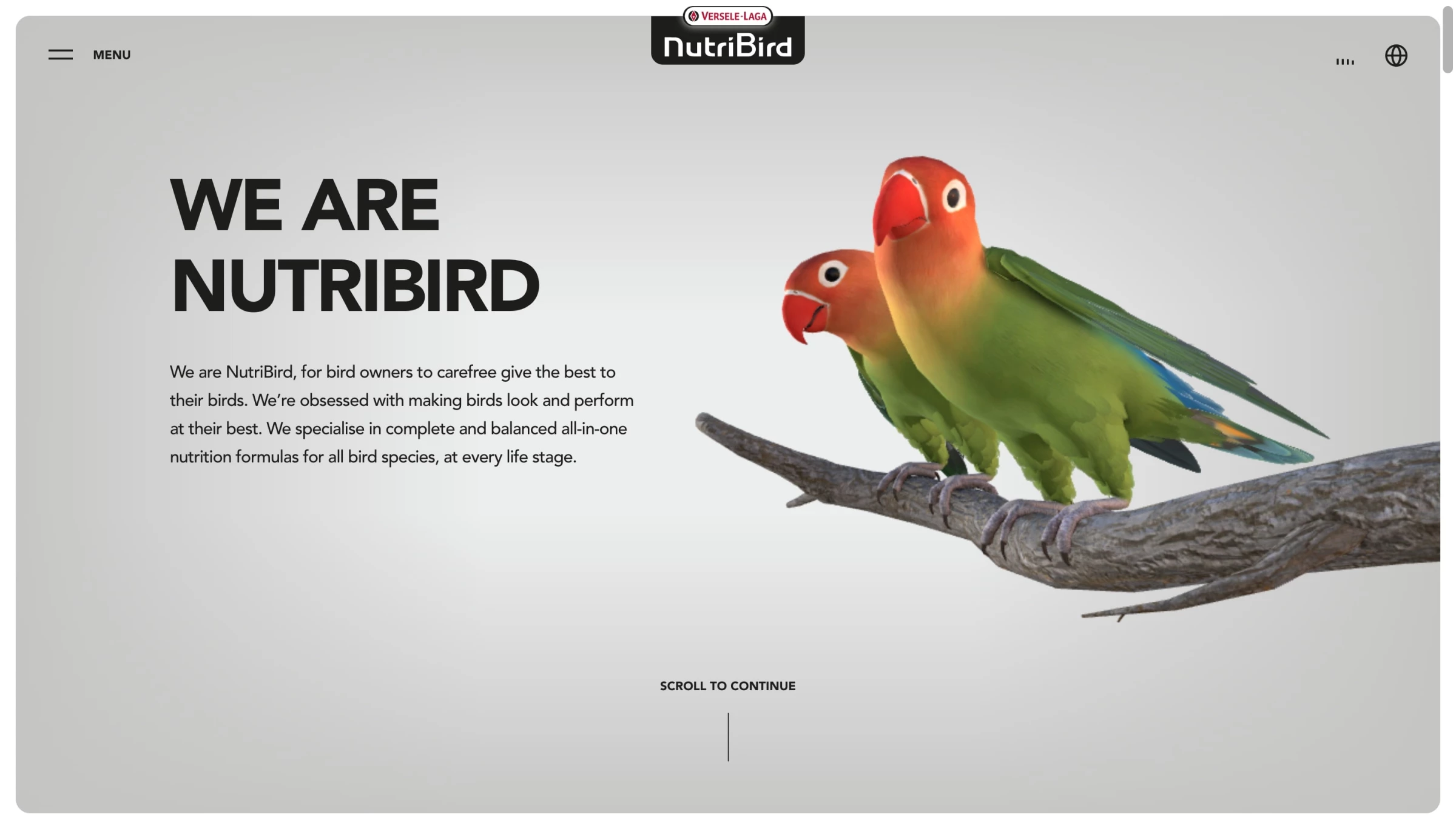 NutriBird by Poppr dynamic website designing