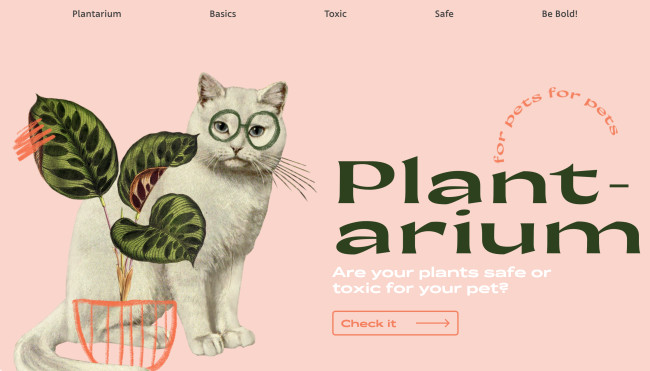 cool animated websites