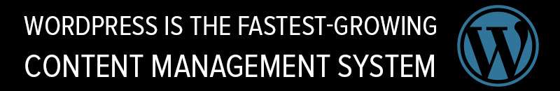 WordPress Web Developers Work With The Fastest Growing CMS WordPress Web Developers Work With The Fastest Growing CMS