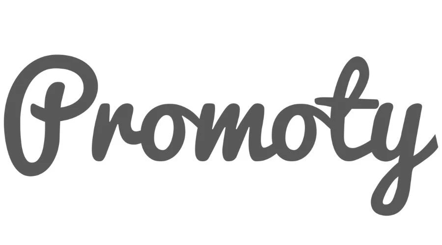 Promoty Grey Logo on a White Background