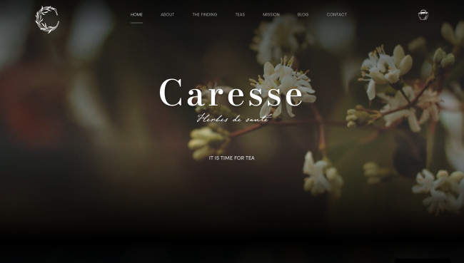 minimalist website examples