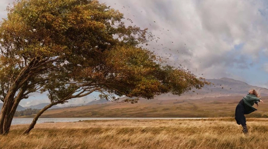 A woman near a tree bending to the wind.
