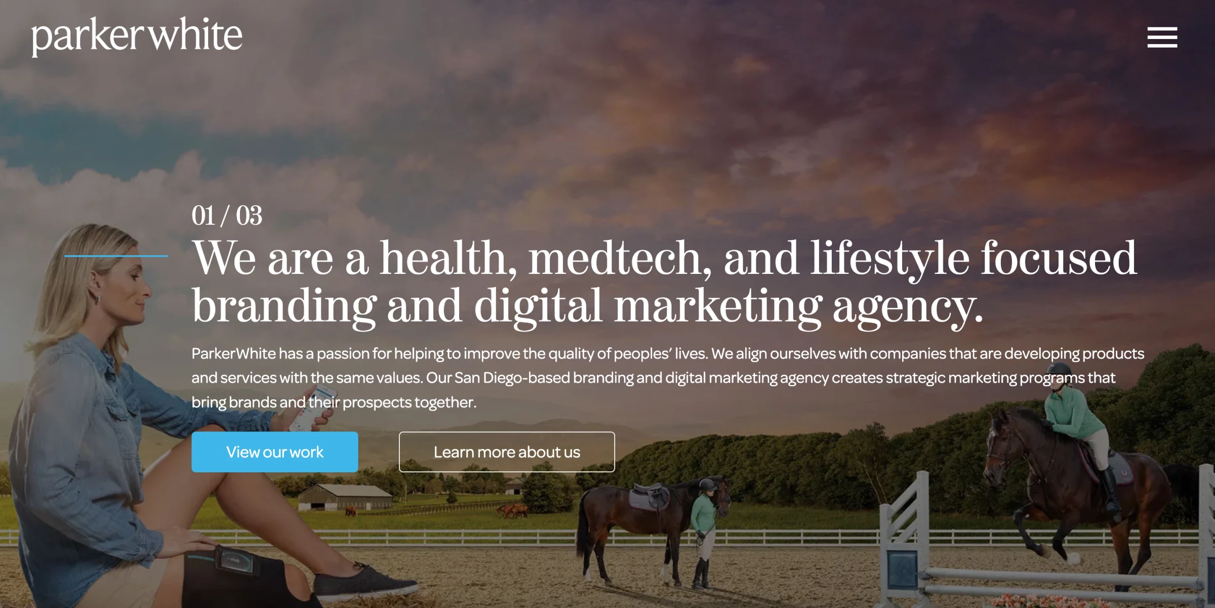 ParkerWhite Brand Interactive - best agencies to hire