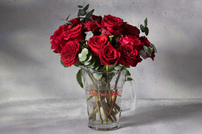 Red roses in branded Budweiser pitcher