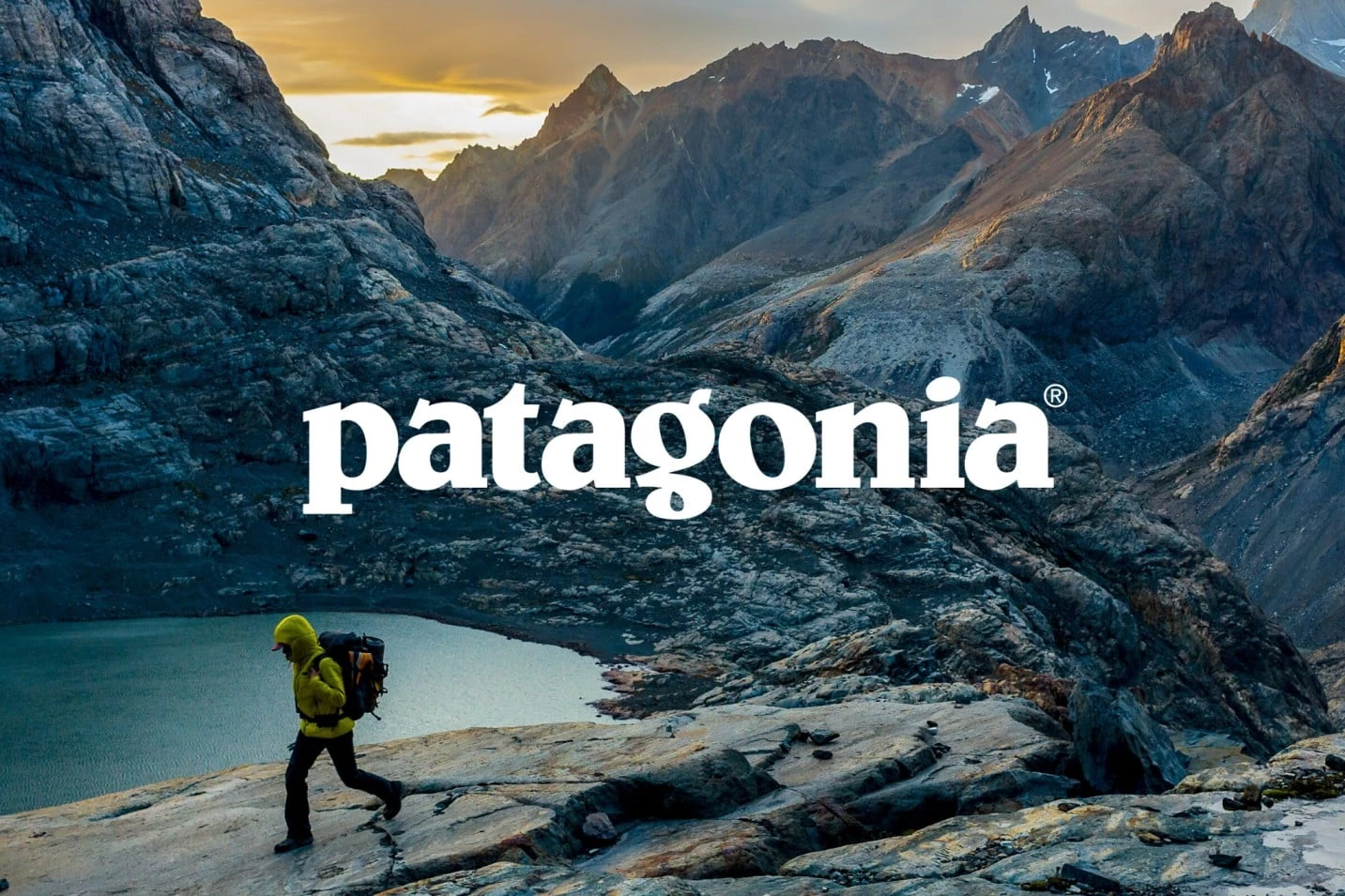 Patagonia campaign visual for Action Works Environmental activism