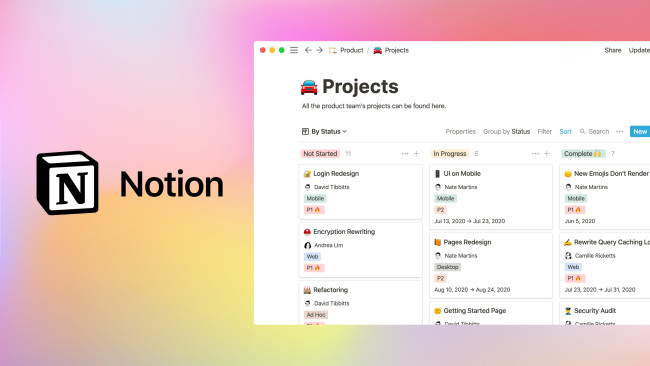 Notion Projects page website display