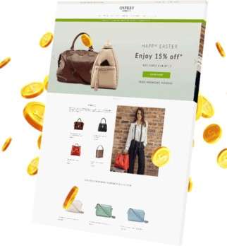 Website Development eCommerce Site