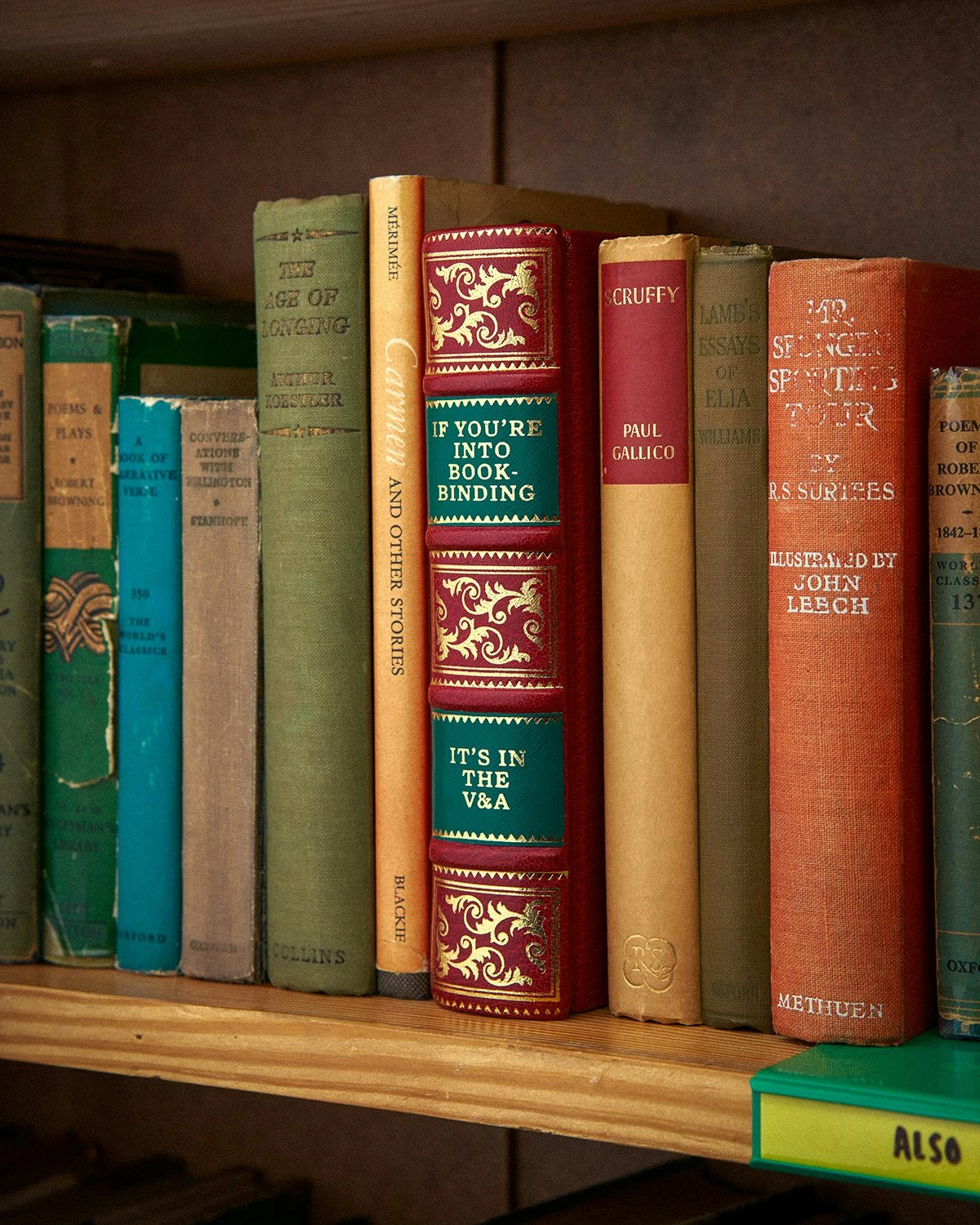 A 100-year-old book is hidden at a vintage shop for treasure hunters to find.