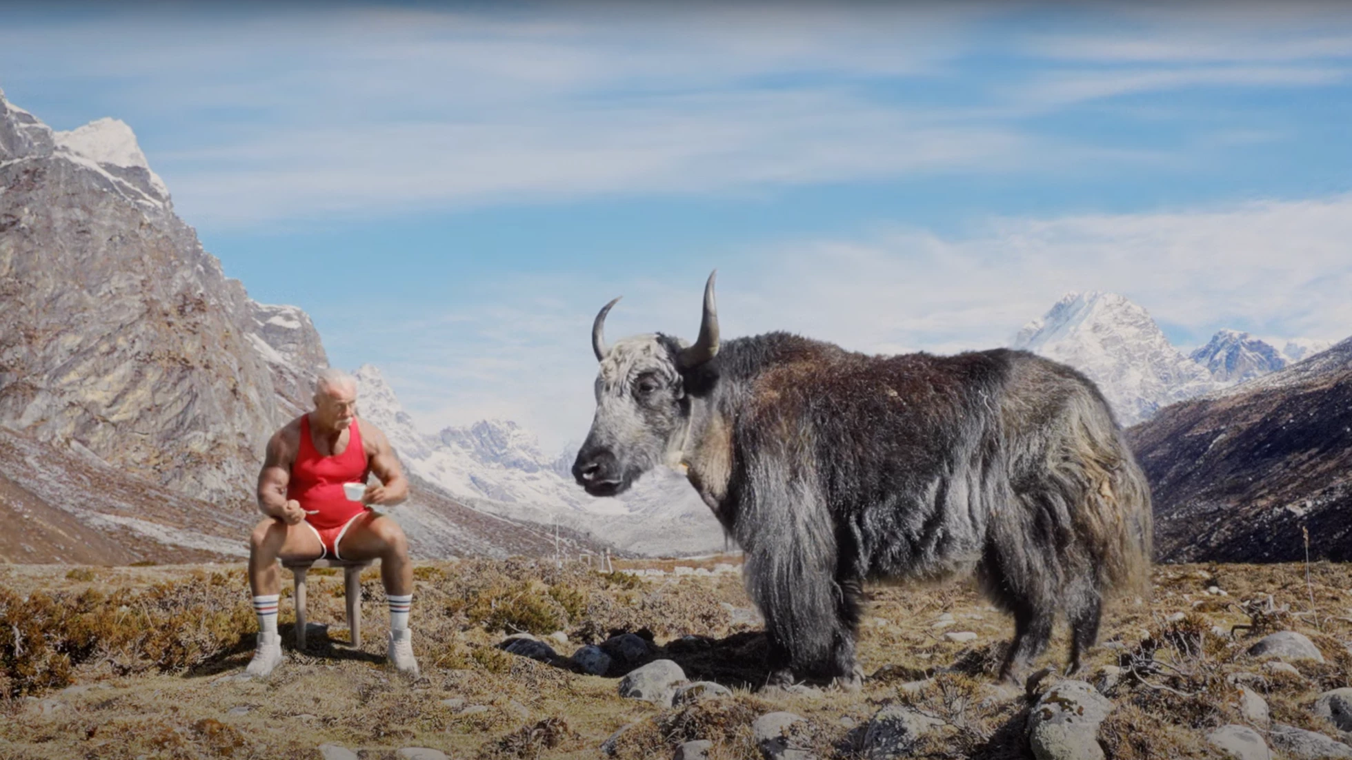 Still taken from the Philips 'join the new coffee movement' campaign video of body-builder sitting alongside a yak, sipping coffee