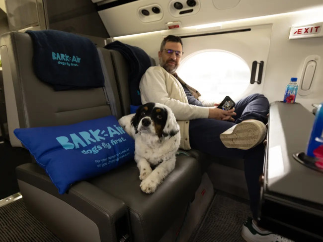 A dog gets his own seat at Bark Air.