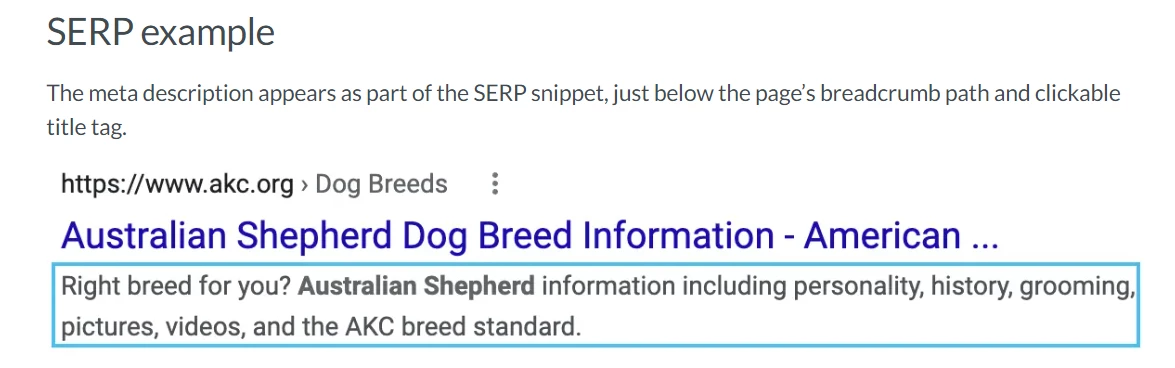 Meta description