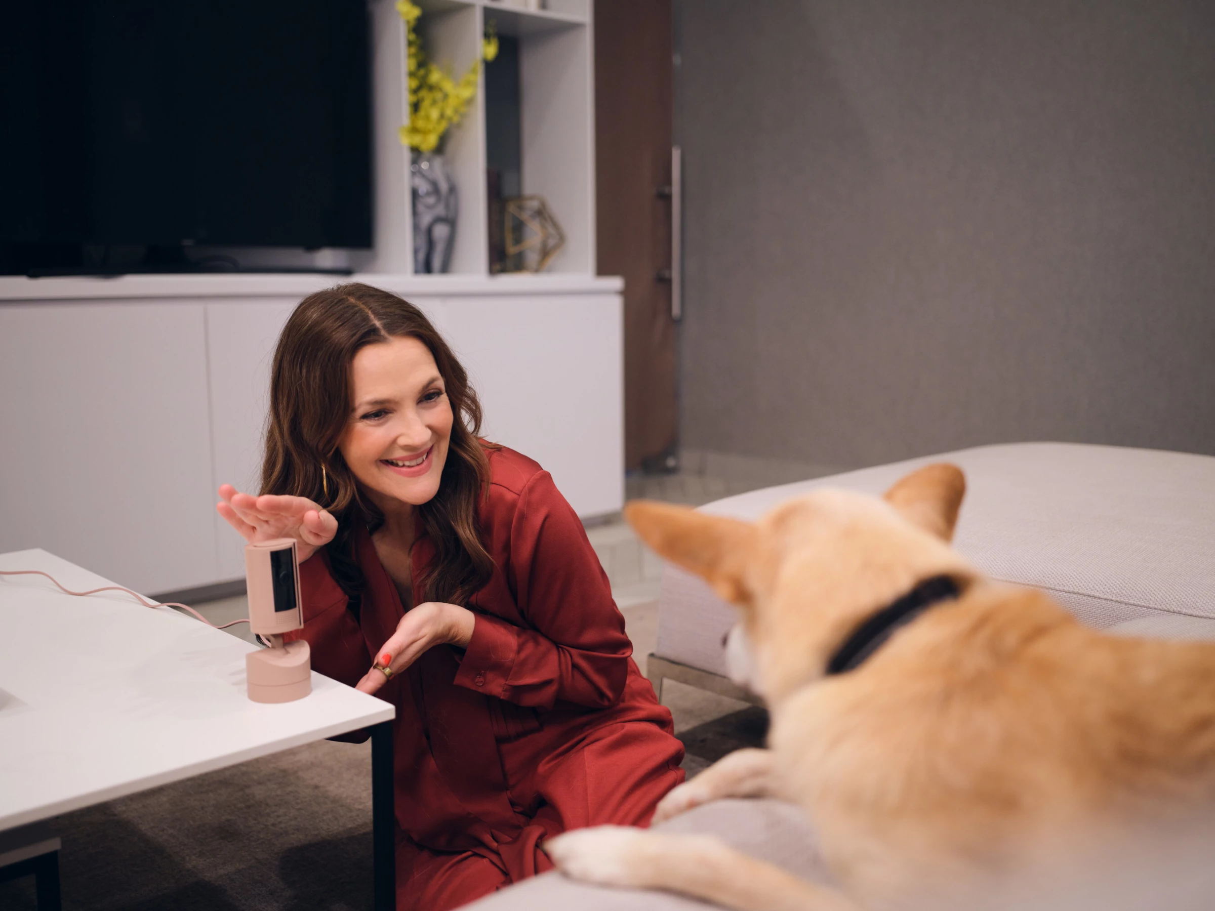 Barrymore uses Ring's latest indoor pet cam to take a photo of Douglas.