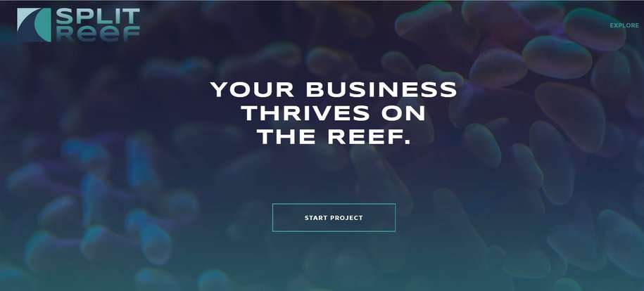 Miami Web Designer Spleet-Reef-Agency-Website Spleet-Reef-Design-Company
