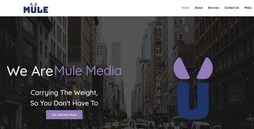 Miami Web Design Mule-Media-Web-Design-Agency Mule-Media-Web-Design-Agency