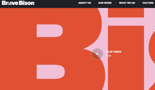 Brave Bison homepage-screenshot Brave Bison homepage-screenshot