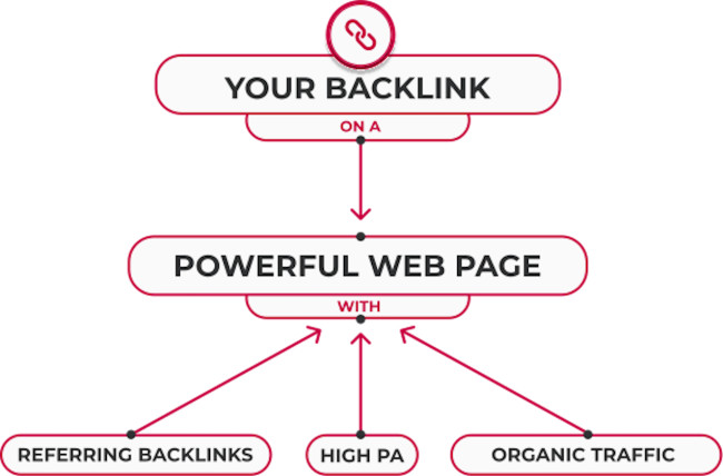 QGP backlink chart