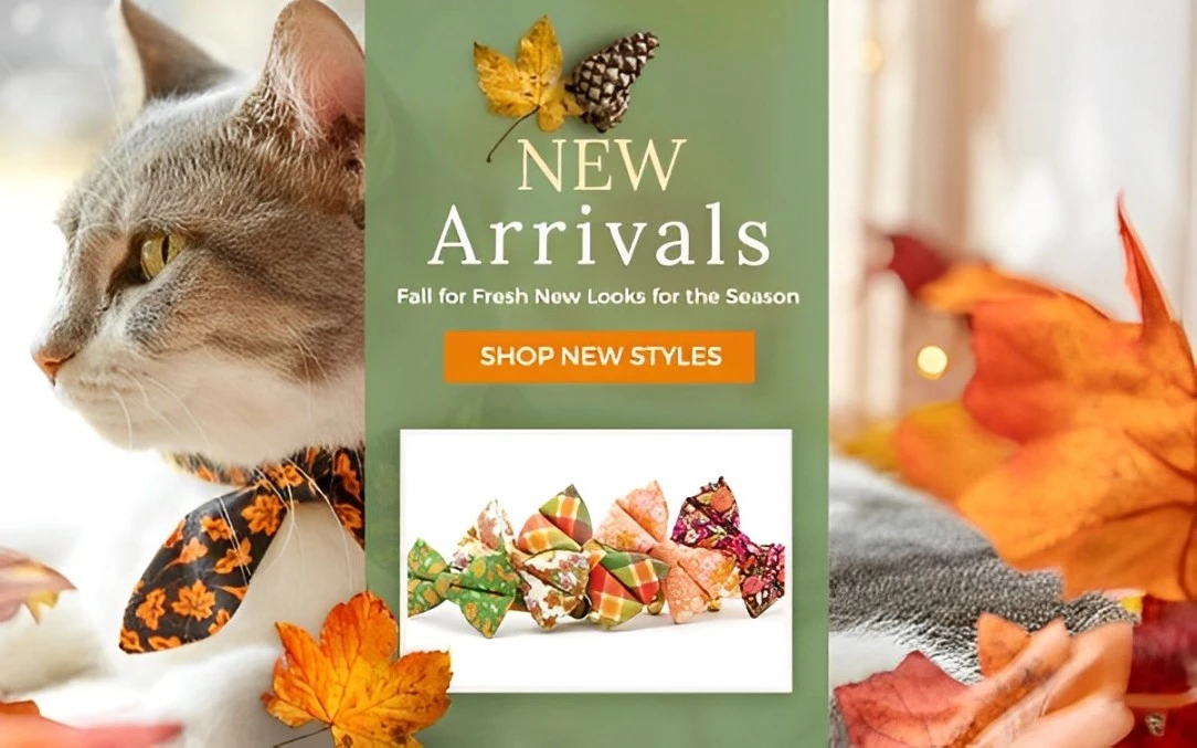 Made By Cleo new fall arrivals