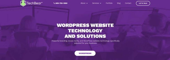 TechBear specializes in WordPress websites and marketing campaigns