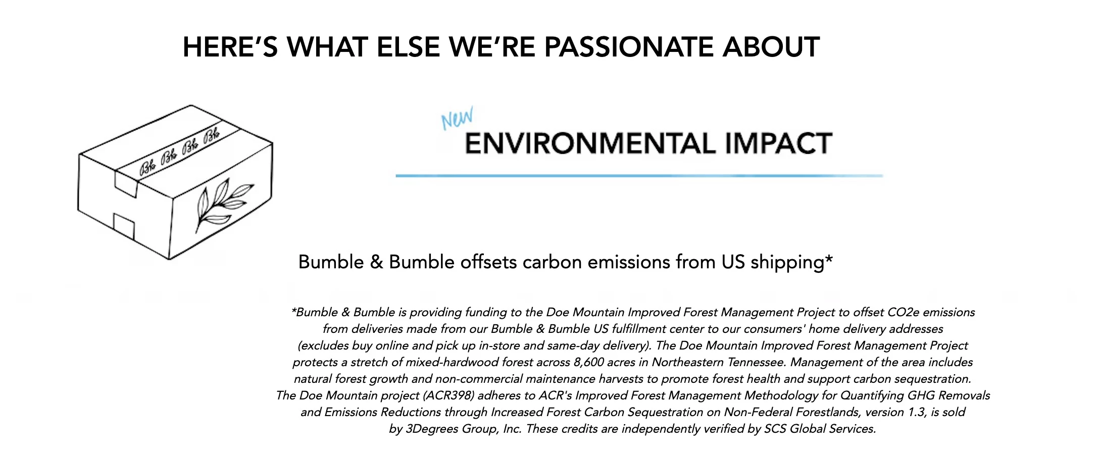 bumble-and-bumble Bumble and bumble