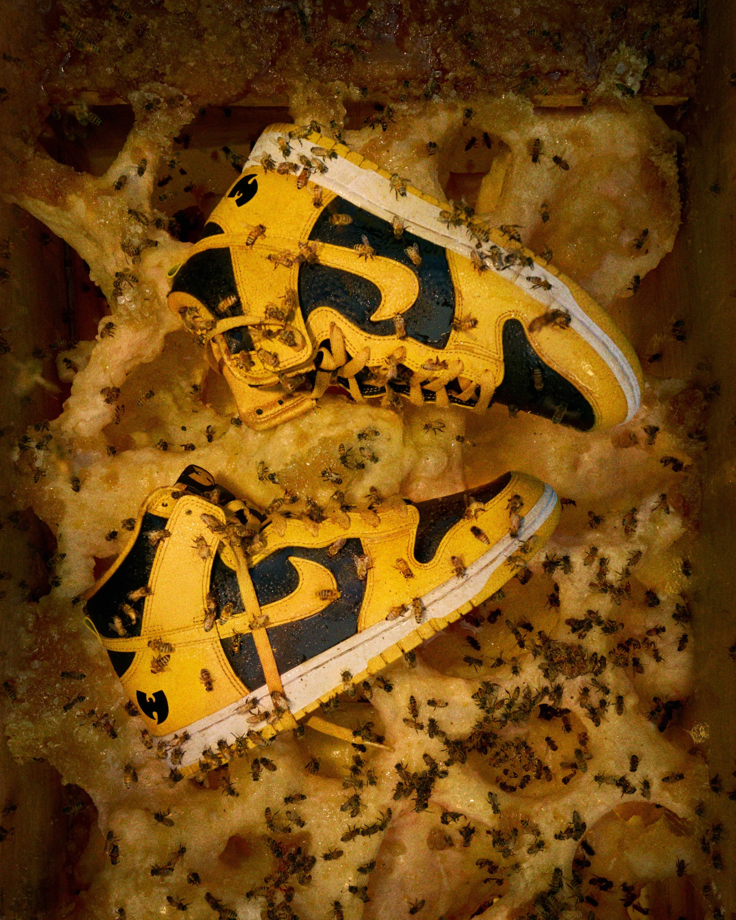 Nike x Wu-Tang Clan Dunk
