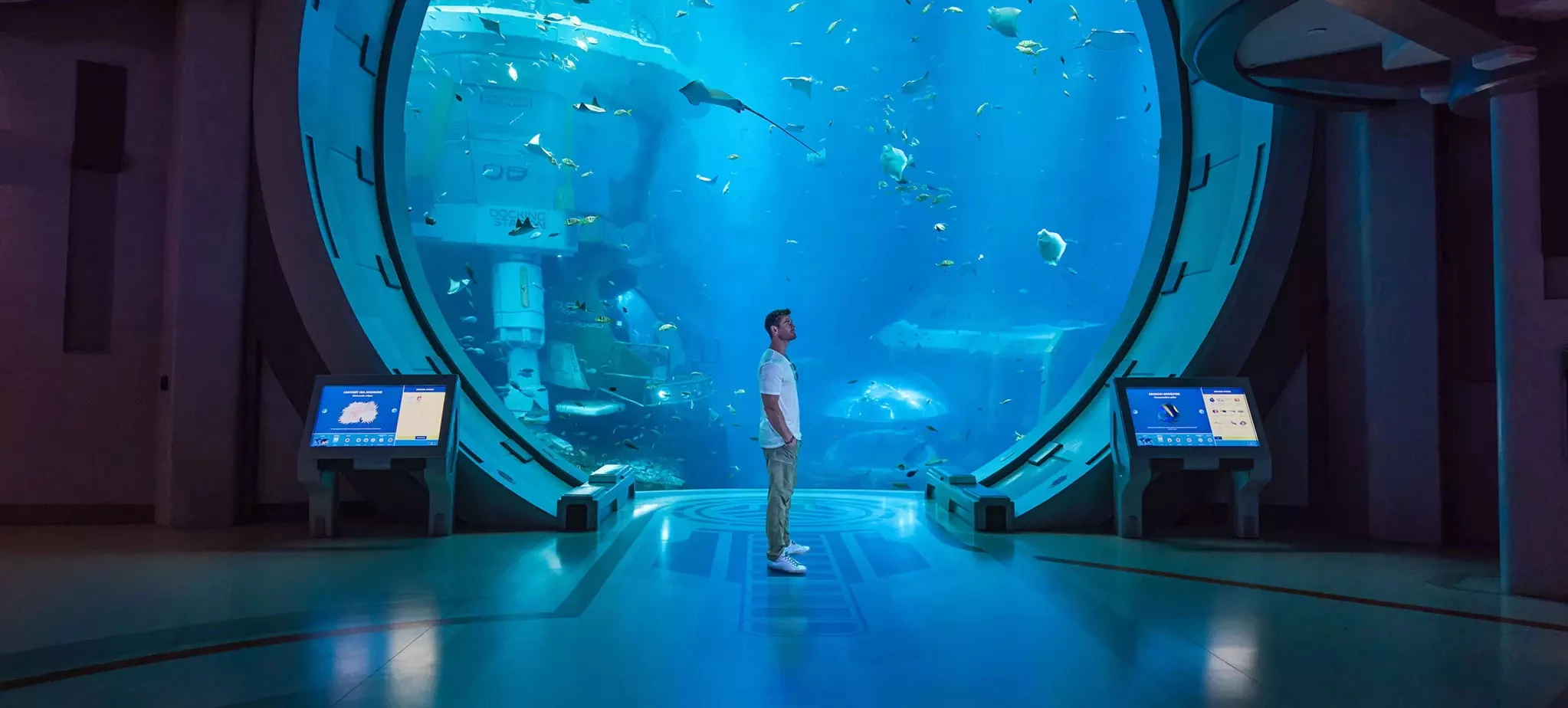 Chris Hemsworth at SeaWorld Yas Island, Abu Dhabi