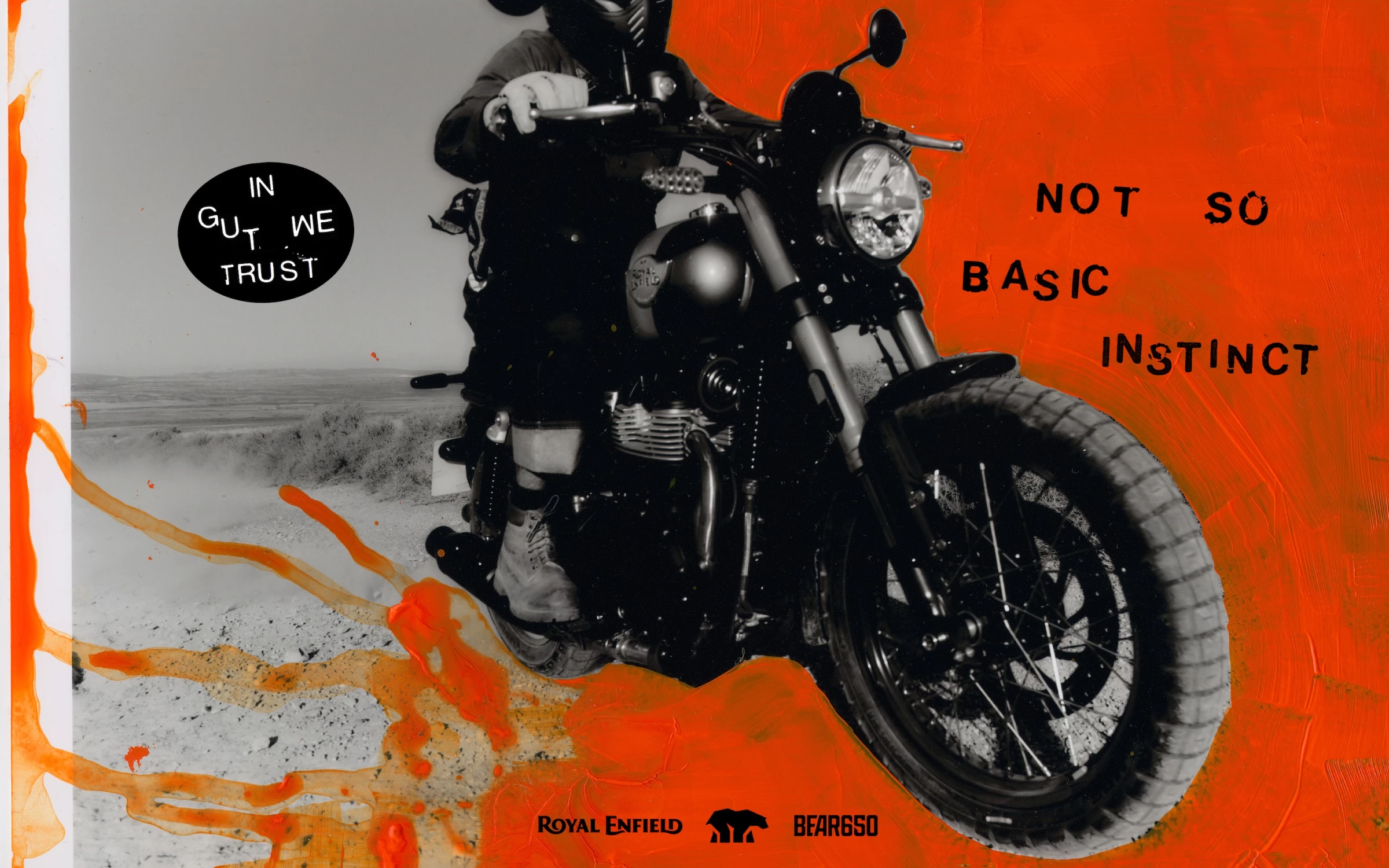 'In Gut We Trust' Bear 650 Key Visual