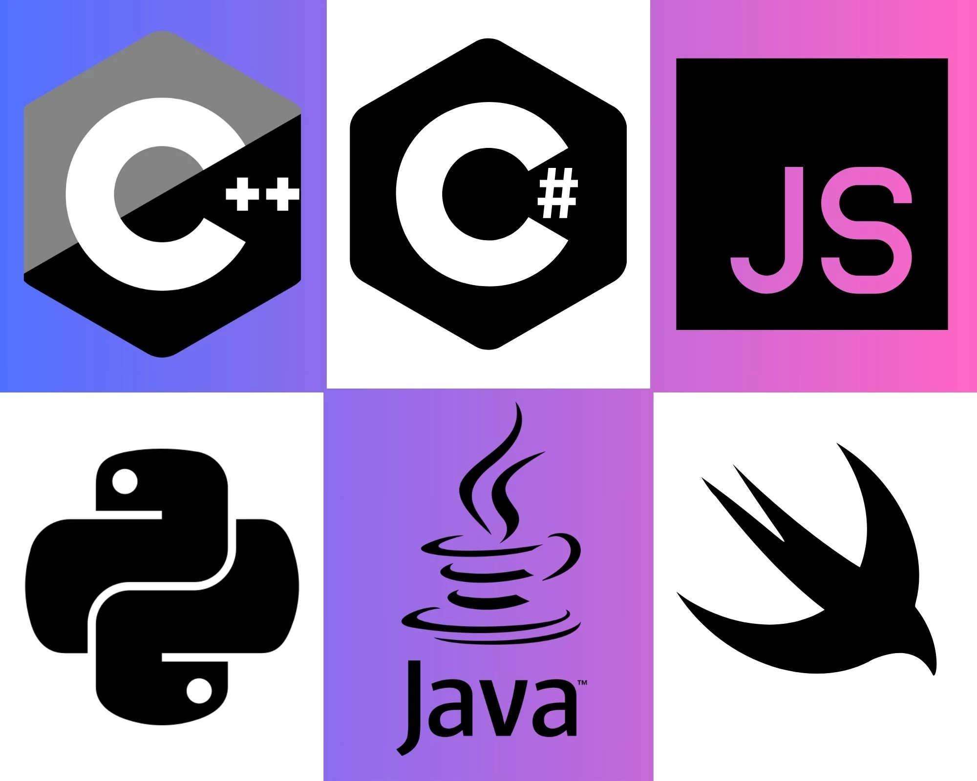 6 Best Programming Languages