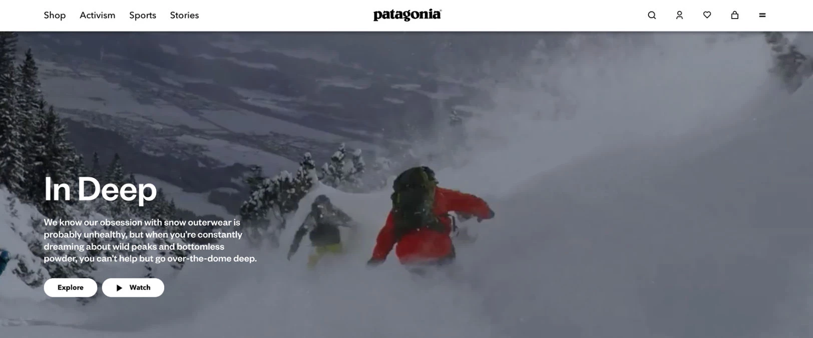 Patagonia