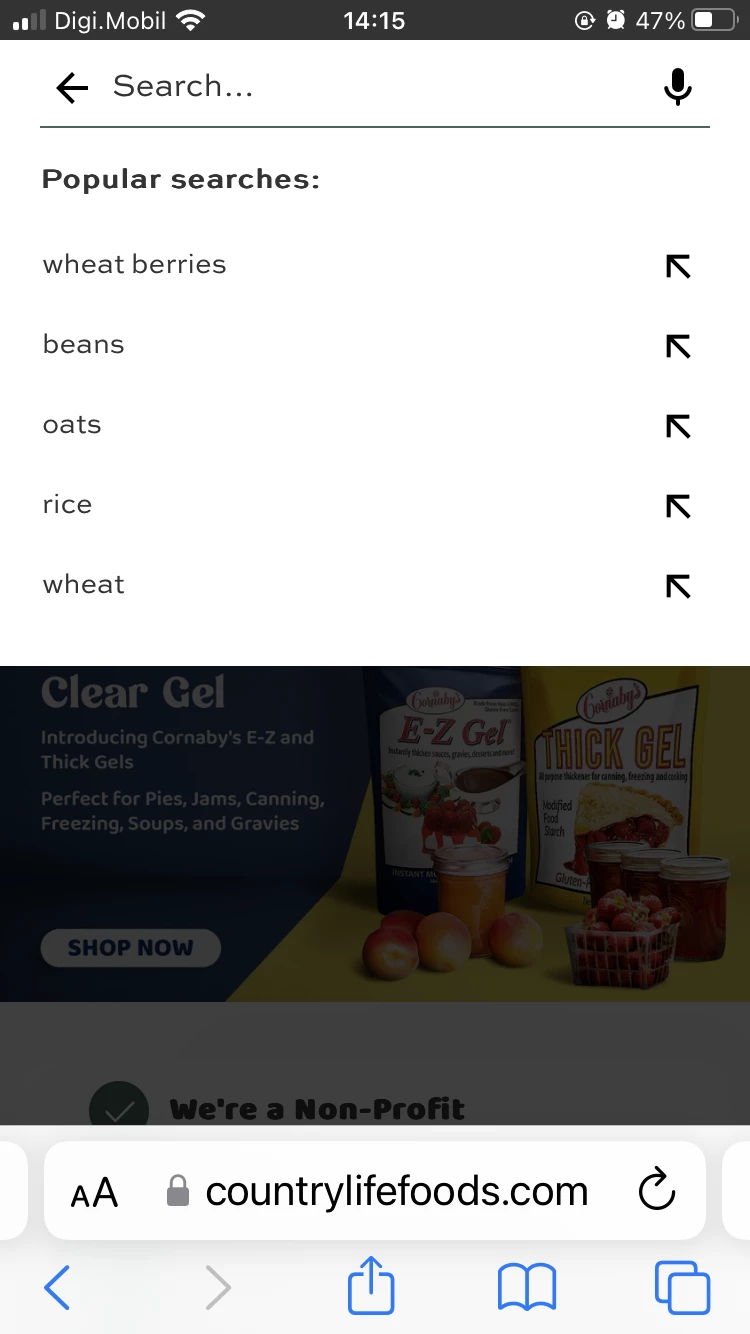 Trending searches example of Search Bar UX Best Practices 