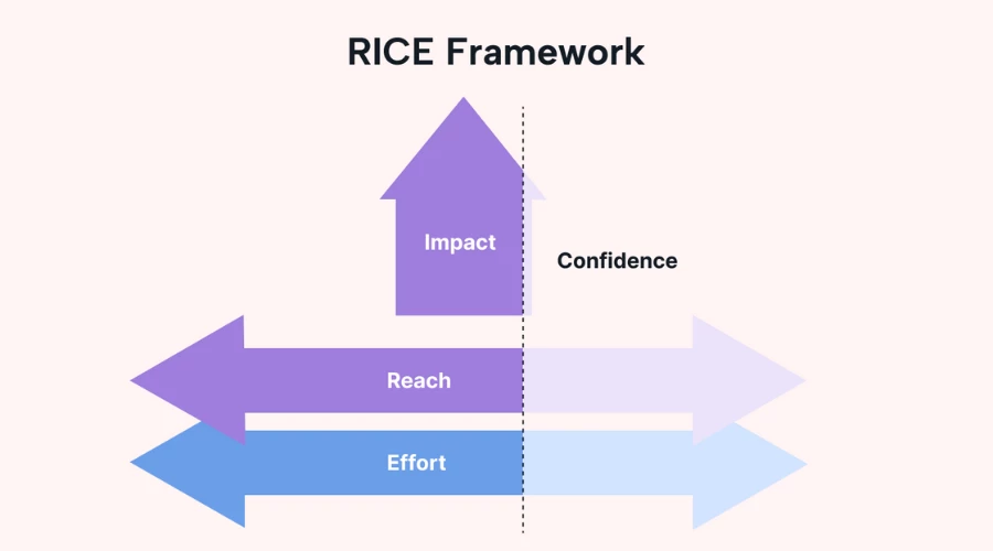 Rice framework visualization