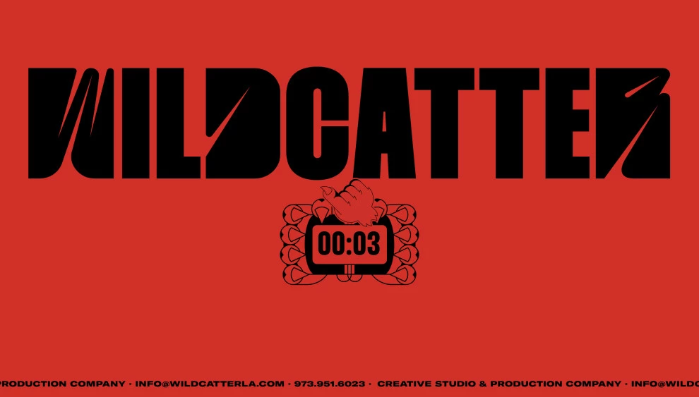 The Wildcatter website