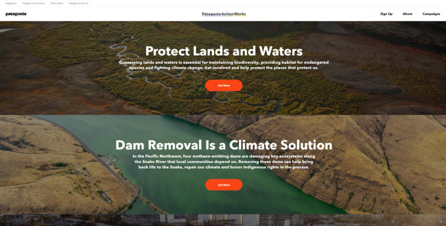 A screenshot from Patagonia’s website