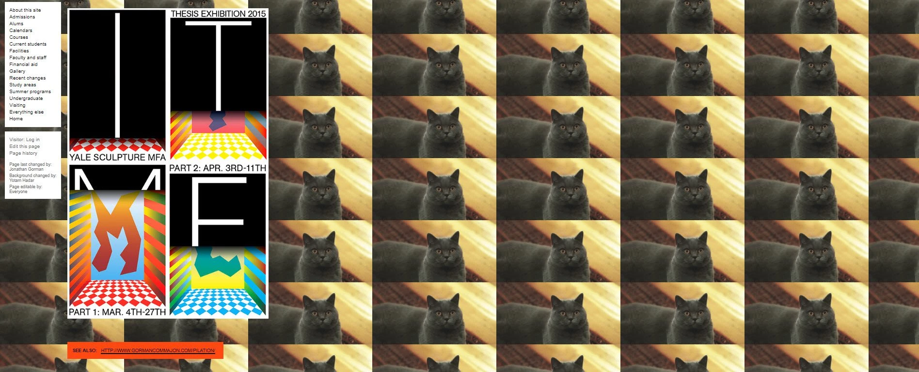 Yale School of Art website featuring cats and bold exhibition designs