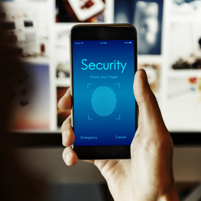Fingerprint scanner on smartphone 