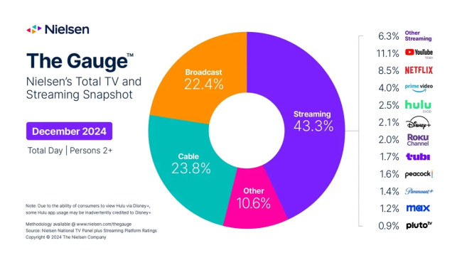 Nielsen's The Gauge Nielsen's The Gauge