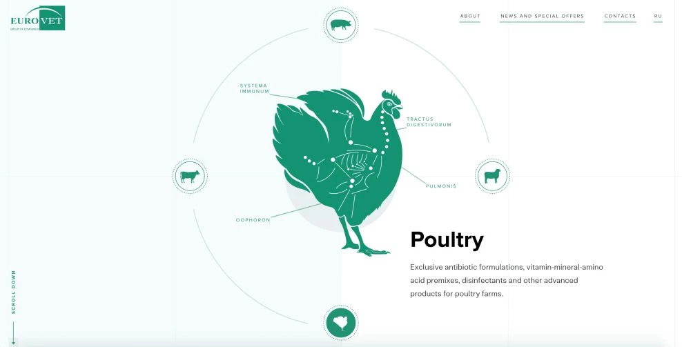 Eurovet Infographic Example
