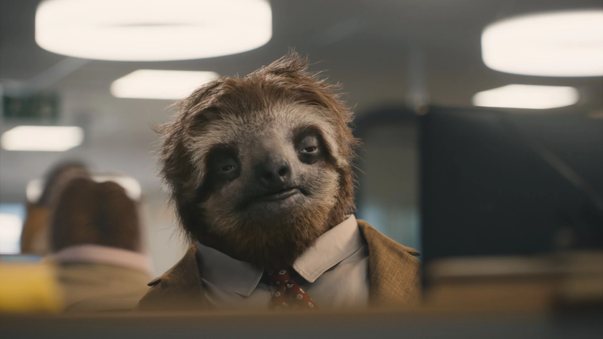 A sleepy sloth tries to get work done