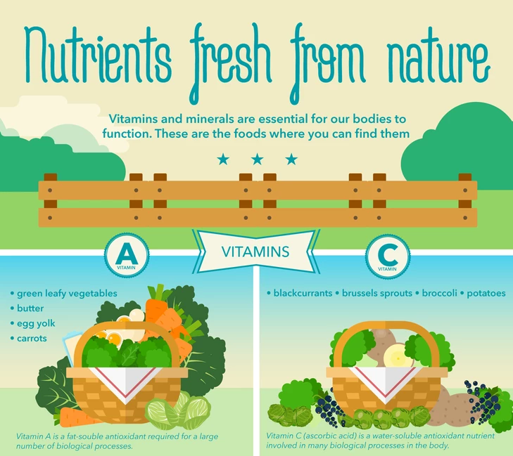 Nutrients Fresh From Nature Simple Infographic