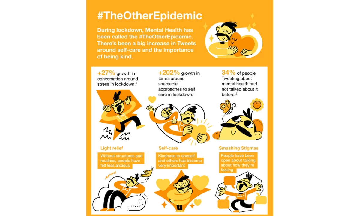 TheOtherEpidemic Simple Infographic 