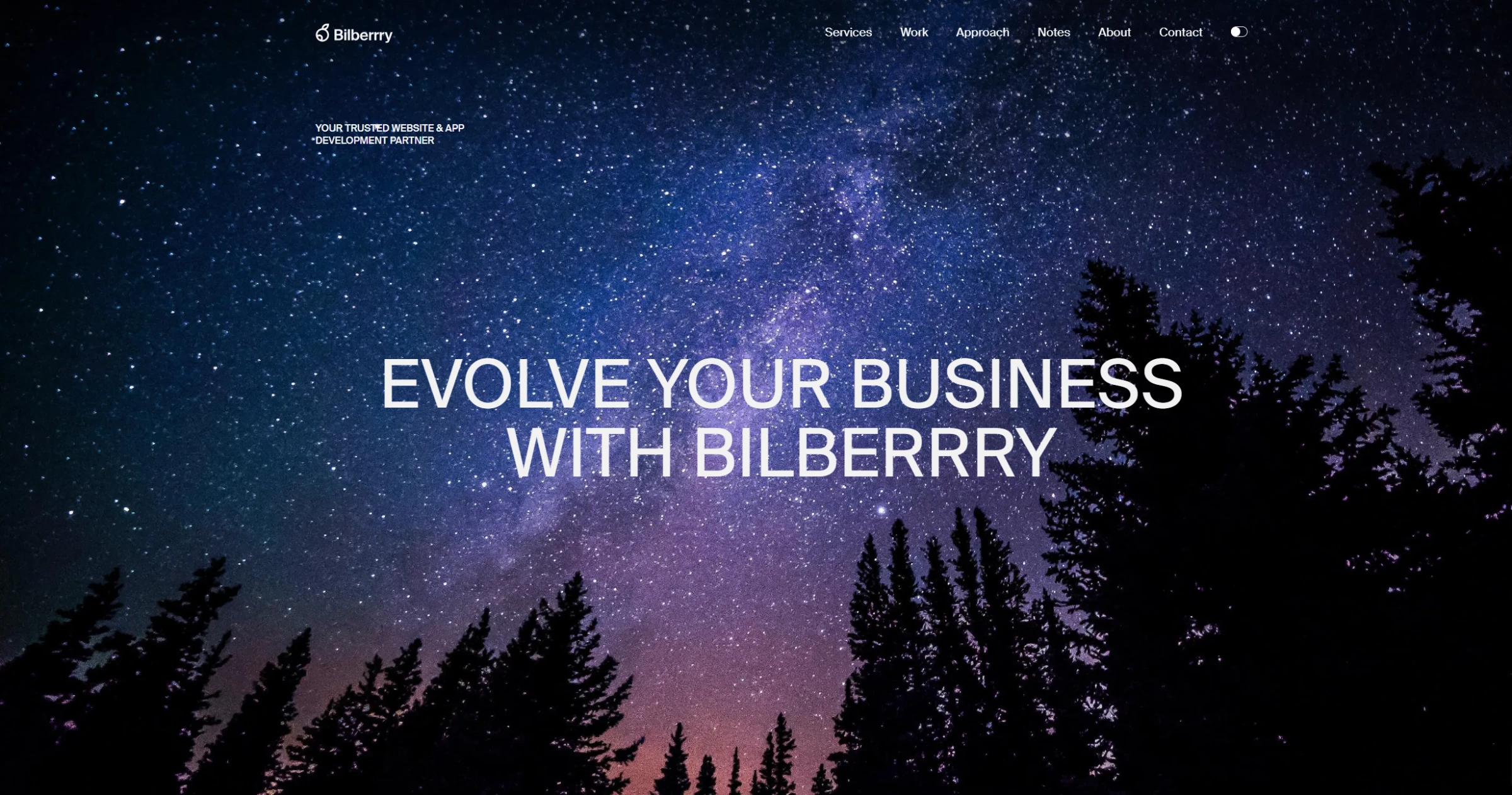 Bilberry’s homepage