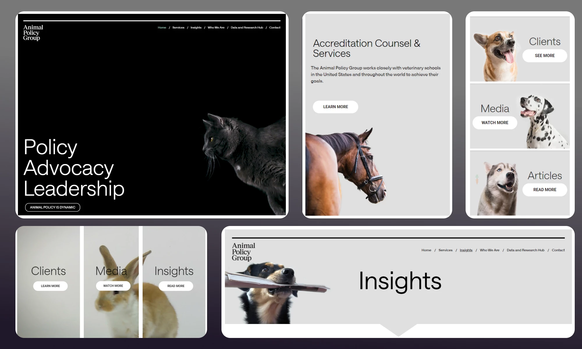 Best Web Design