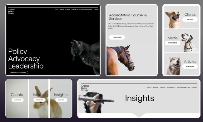 Best Web Design Best Web Design