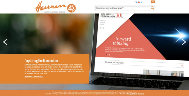 Image grab from Herrmann’s website