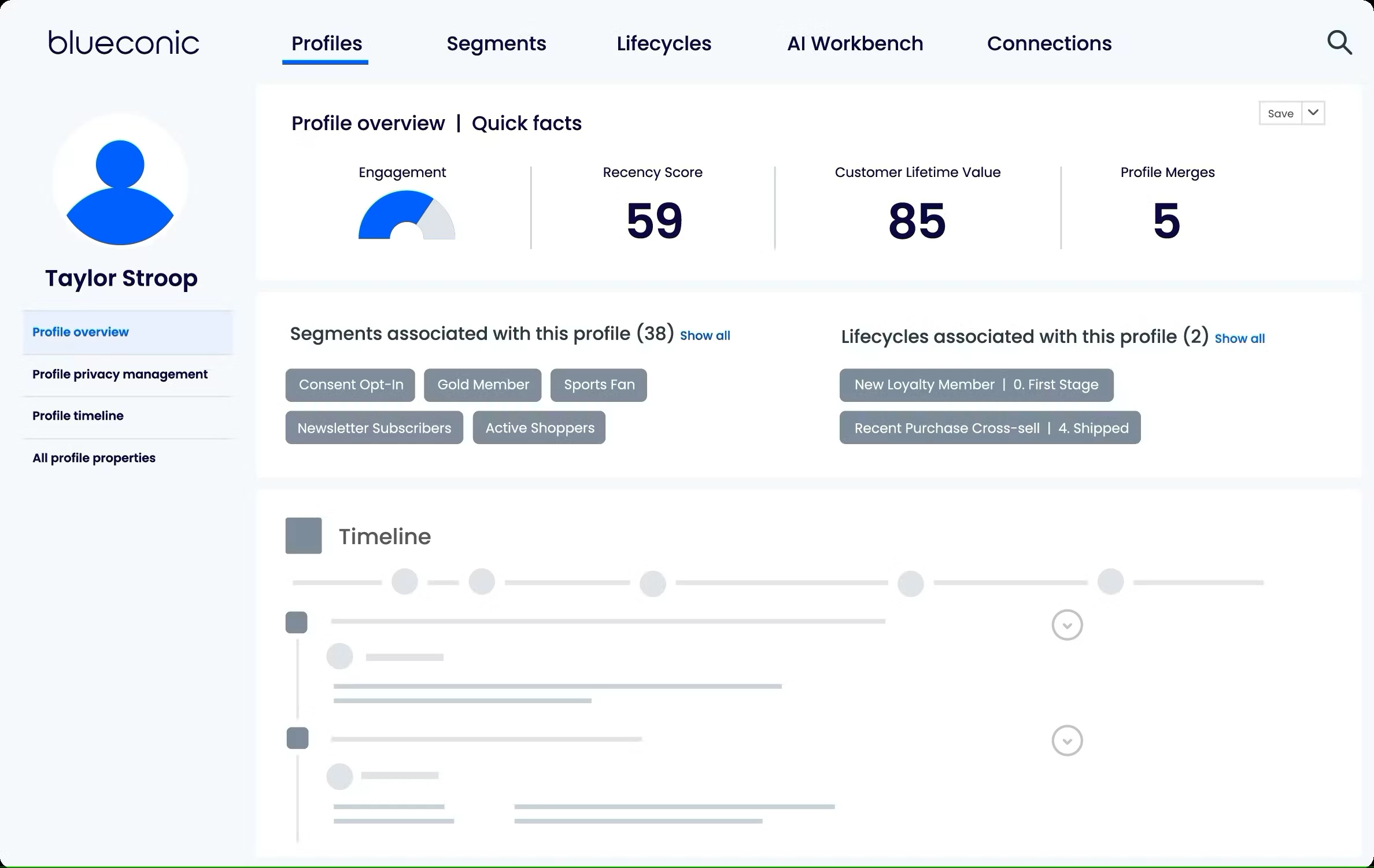 BlueConic dashboard