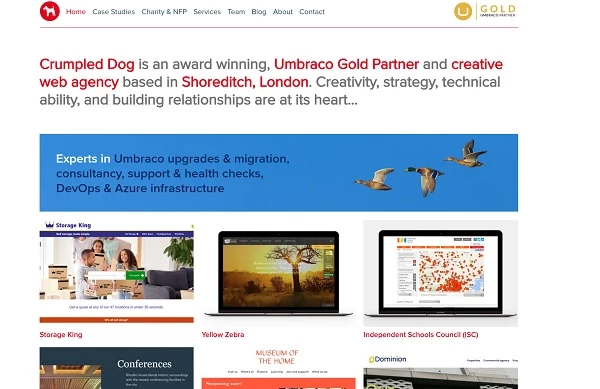 Crumpled Dog home page