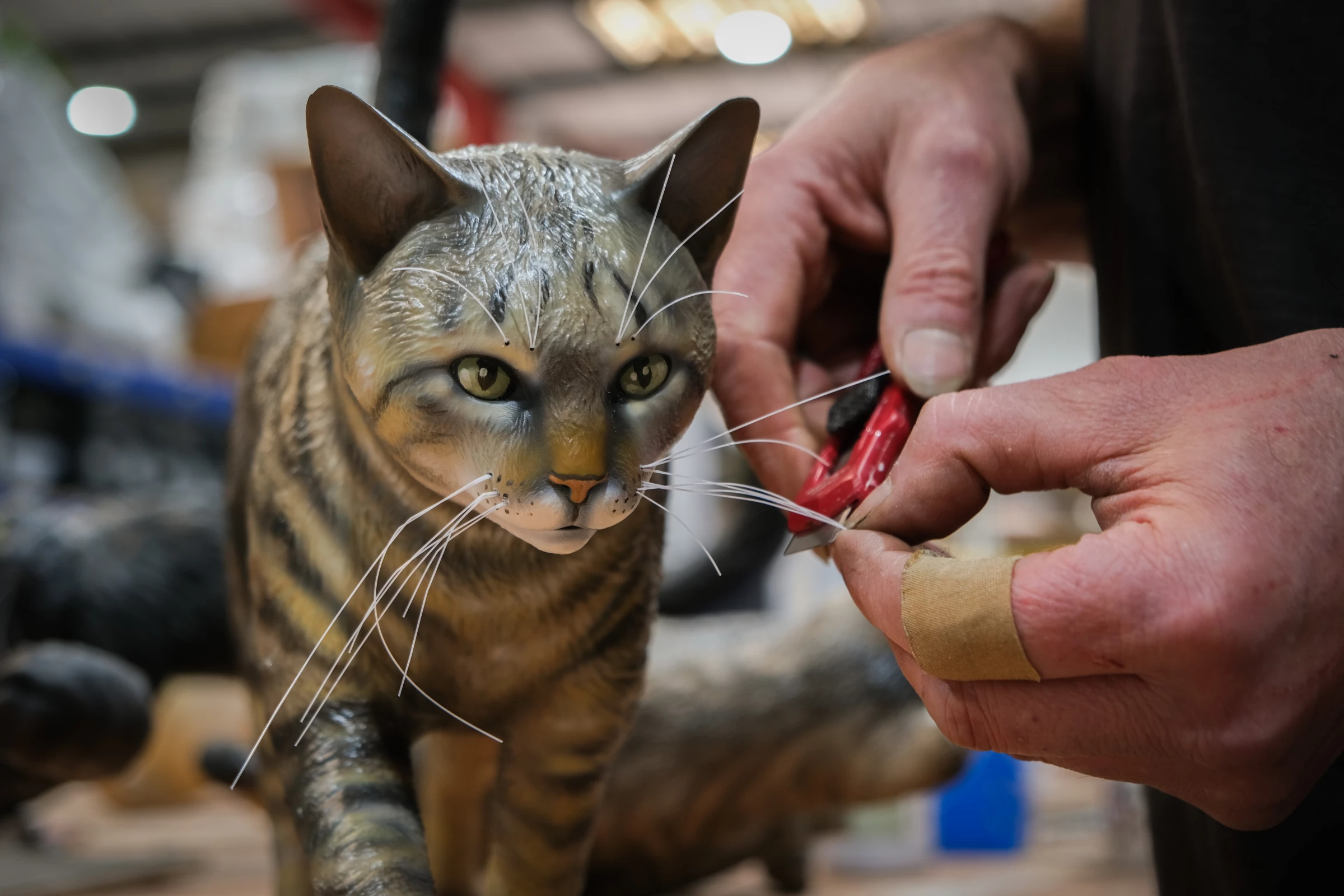 Fiberglass cats for the DREAMIES campaign