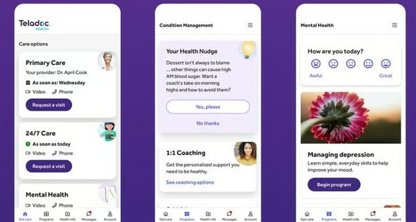 Teladoc Health interface