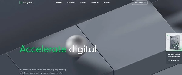 Netguru home page